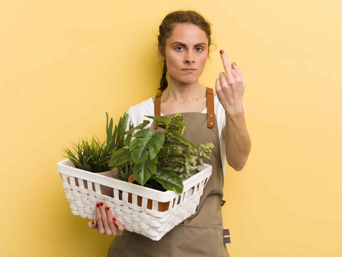 Jak bezpiecznie kupować ekologiczne produkty online – sprawdzone platformy i praktyczne wskazówki